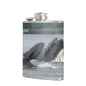 Fütternd Humpbackwale Flachmann (Links)