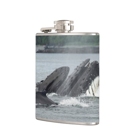 Fütternd Humpbackwale Flachmann (Links)