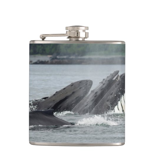 Fütternd Humpbackwale Flachmann (Vorderseite)