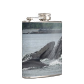 Fütternd Humpbackwale Flachmann (Rechts)