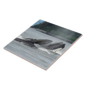 Fütternd Humpbackwale Fliese (Seite)