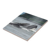 Fütternd Humpbackwale Fliese (Seite)