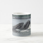 Fütternd Humpbackwale Kaffeetasse (Mittel)