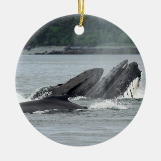 Fütternd Humpbackwale Keramik Ornament (Vorne)