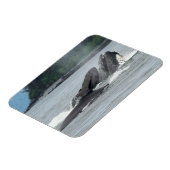 Fütternd Humpbackwale Magnet (Linke Seite)