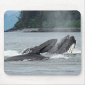 Fütternd Humpbackwale Mousepad (Vorne)