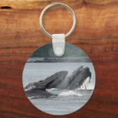 Fütternd Humpbackwale Schlüsselanhänger (Vorderseite)