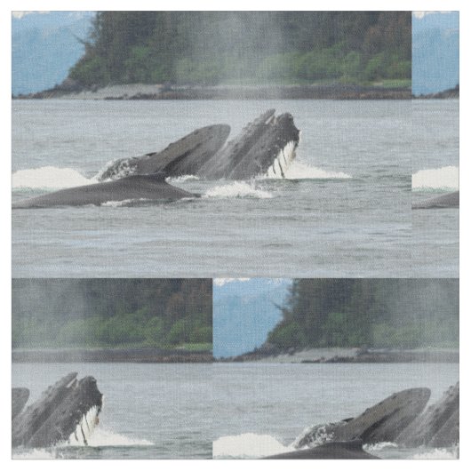 Fütternd Humpbackwale Stoff (Nahaufnahme)
