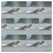 Fütternd Humpbackwale Stoff (Muster)