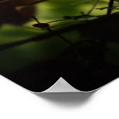 Fütternd Kardinal Poster (Ecke)