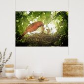 Fütternd Kardinal Poster (Küche)