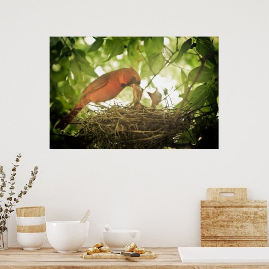 Fütternd Kardinal Poster (Küche)