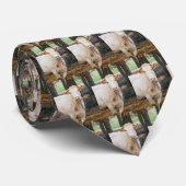 Fütternd Kühe Krawatte (Gerollt)