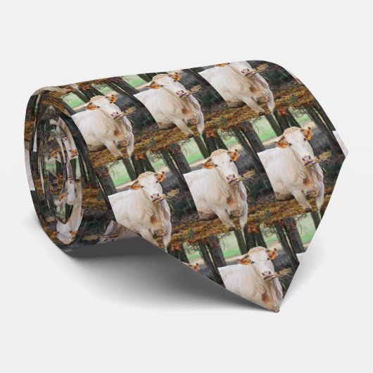 Fütternd Kühe Krawatte (Gerollt)