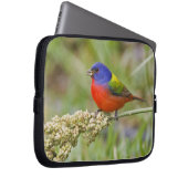 Fütternd männliches Anstrich (Passerian ciris) Laptopschutzhülle (Vorne Rechts)