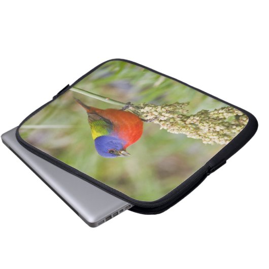 Fütternd männliches Anstrich (Passerian ciris) Laptopschutzhülle (Vorne Knopf)