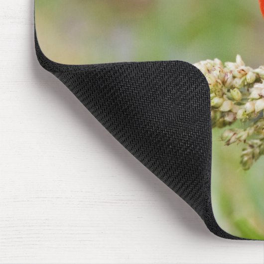 Fütternd männliches Anstrich (Passerian ciris) Mousepad (Ecke)