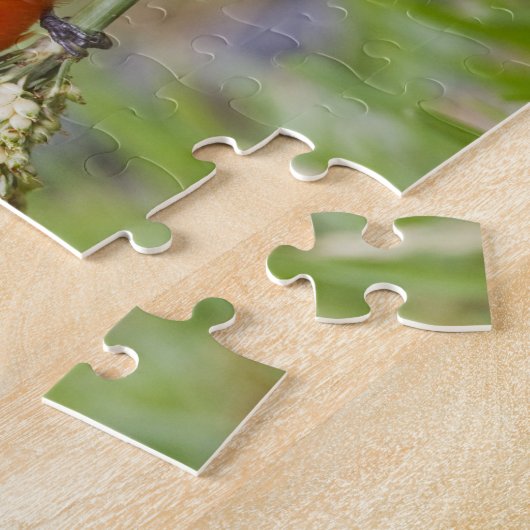 Fütternd männliches Anstrich (Passerian ciris) Puzzle (Seite)