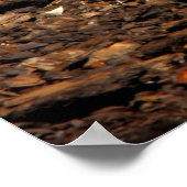 Fütternd Porcupine Poster (Ecke)