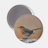 Fütternd Robin Magnet (Vorderseite/Rückseite)
