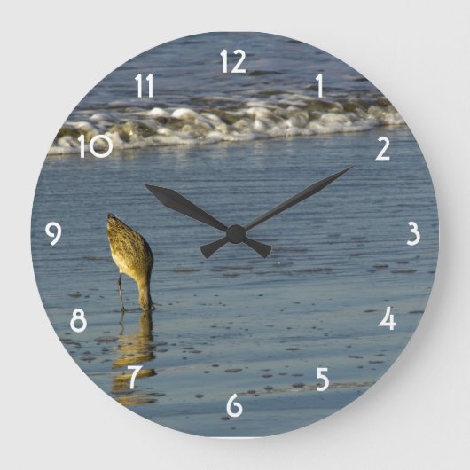 Fütternd Sandpiper II Große Wanduhr (Vorderseite)