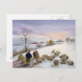 Fütternd Schafe im Winter Postkarte (Vorne/Hinten)