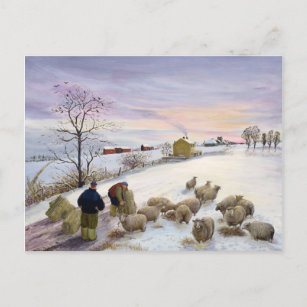 Fütternd Schafe im Winter Postkarte