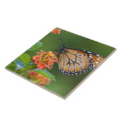 Fütternd Schmetterling (Danaus eresimus) Fliese (Seite)