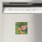Fütternd Schmetterling (Danaus eresimus) Magnet (In Situ (Geschirrspüler))