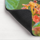 Fütternd Schmetterling (Danaus eresimus) Mousepad (Ecke)