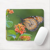 Fütternd Schmetterling (Danaus eresimus) Mousepad (Mit Mouse)