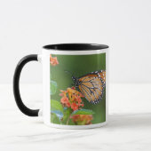 Fütternd Schmetterling (Danaus eresimus) Tasse (Links)
