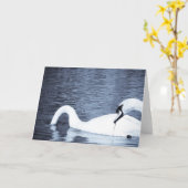 Fütternd Schwäne Karte (Gelbe Blume)