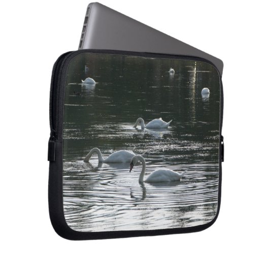 Fütternd Schwäne, Roath Park Lake, Cardiff Laptopschutzhülle (Vorne Rechts)
