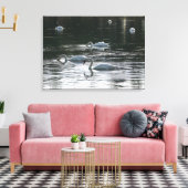 Fütternd Schwäne, Roath Park Lake, Cardiff Leinwanddruck (Insitu (Wohnzimmer))