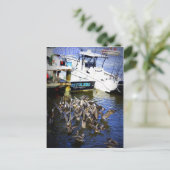 Fütternd Wahnsinn Postkarte (Stehend Vorderseite)