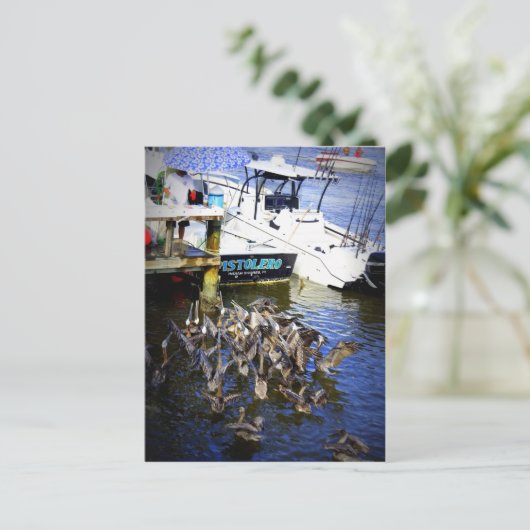 Fütternd Wahnsinn Postkarte (Stehend Vorderseite)