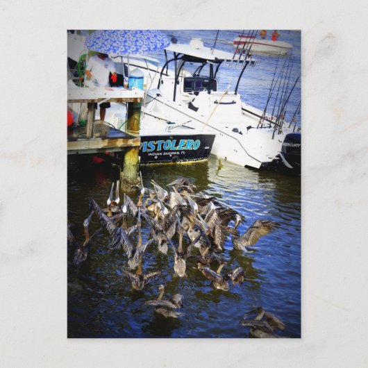 Fütternd Wahnsinn Postkarte (Vorderseite)