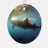 Fütternd Walhai Keramik Ornament (Links)