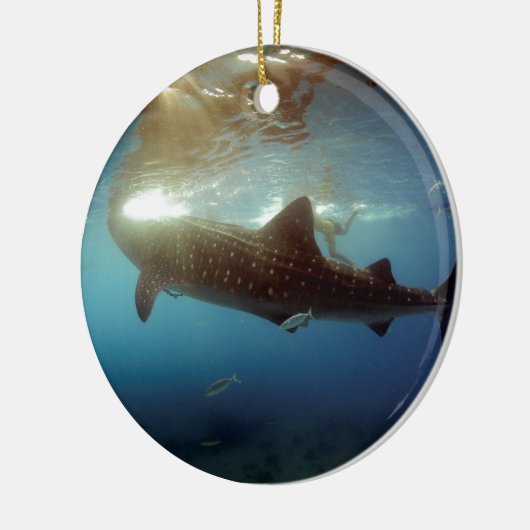 Fütternd Walhai Keramik Ornament (Links)