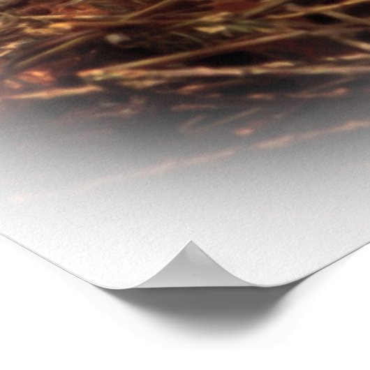 Fütternd Zeit des Baumschlucks Poster (Ecke)