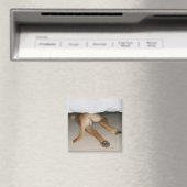 Fütterung und Schwanz von gelbe Labrador Hund vers Magnet (In Situ (Geschirrspüler))
