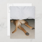 Fütterung und Schwanz von gelbe Labrador Hund vers Postkarte (Vorne/Hinten)