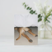 Fütterung und Schwanz von gelbe Labrador Hund vers Postkarte (Stehend Vorderseite)