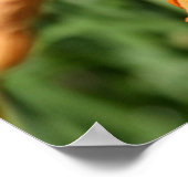 Füttre an den Lilien 5 Poster (Ecke)