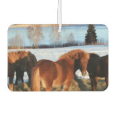 Füttre Autolufterfrischer (Vorderseite)