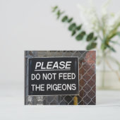 Füttre bitte nicht die Tauben New York City NYC Postkarte (Stehend Vorderseite)