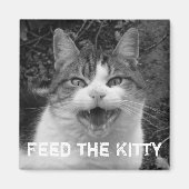 Füttre das Kitty Crabby Cat Magnet (Vorne)