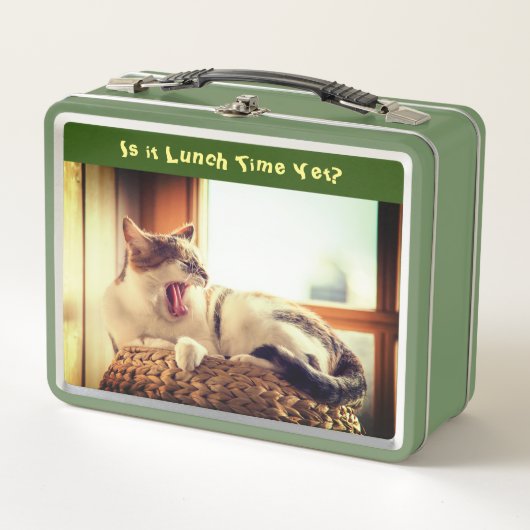 Füttre der Cat Funny Metal Lunch Box (Vorderseite)