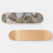 Füttre der Hühner (von Walter Frederick Osborne) Skateboard (Horizontal)